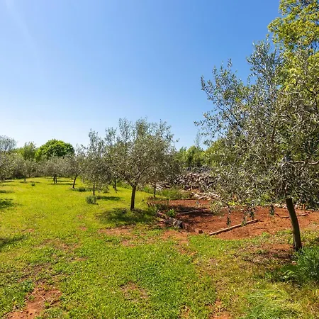 Amazing In With Kitchen *