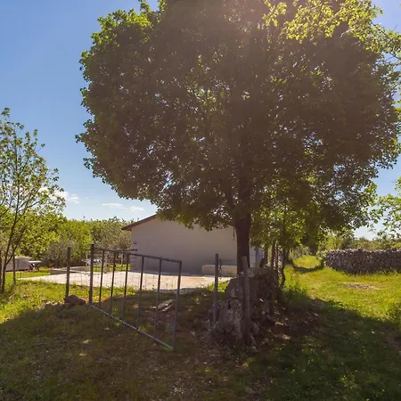 Amazing In With Kitchen Nyaraló *