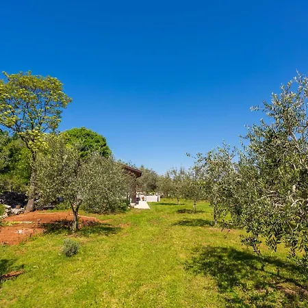 Amazing In With Kitchen