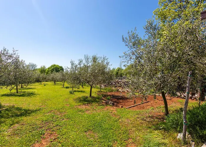 Amazing In With Kitchen *