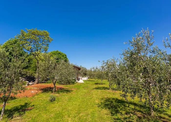 Amazing In With Kitchen